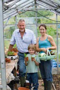 Greenhouse Growing: Tips for Basic Greenhouse Cultivation Image